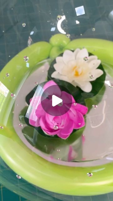 Make A Mirror, Bobo Balloon, Mirror Stand, Beautiful Water, Profile Header, Digital Stickers, I Will Show You, Water Lilies, Dragonflies