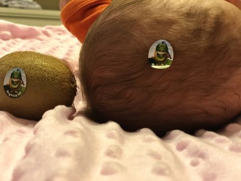 Halloween kiwi baby head Baby Head, Kiwi, Class Ring, Halloween, Quick Saves