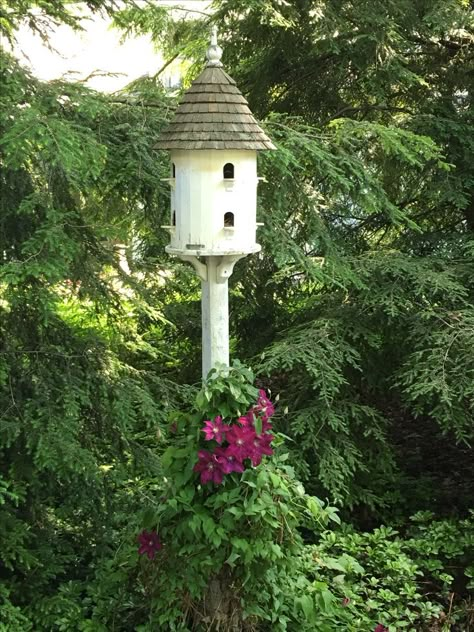 Green House Aesthetic, Dove Cote, Shelter Ideas, Beautiful Birdhouses, Bird Houses Ideas Diy, Garden Birdhouses, Unique Bird Houses, Modern Birds, Bird Houses Diy