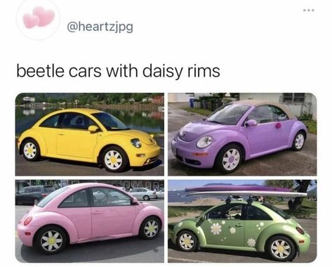 Daisy Rims, Pink Beetle, Volkswagen Beetle Convertible, Bug Car, Volkswagen New Beetle, Car Deco, Beetle Car, Beetle Convertible, Girly Car