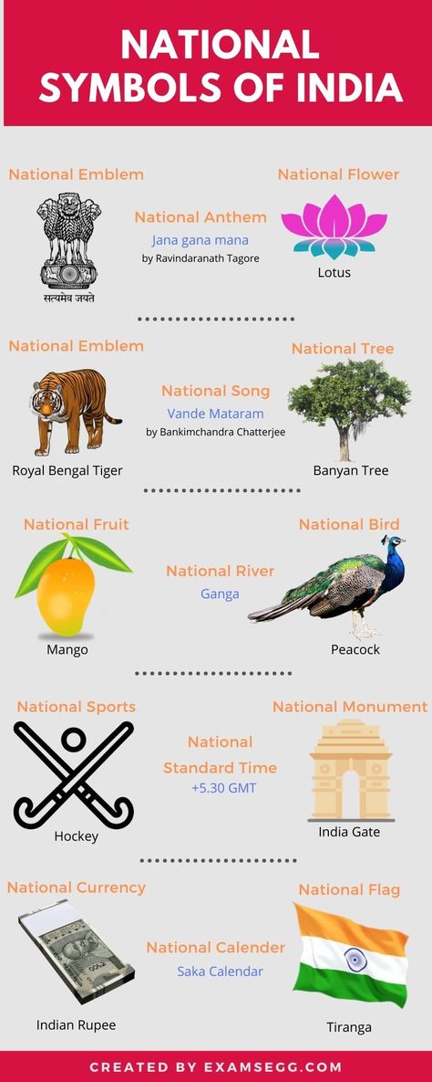 National Symbols Of India, Daily Knowledge, General Knowledge For Kids, General Knowledge Quiz Questions, Upsc Notes, India Gk, Ias Study Material, India For Kids, Army Images