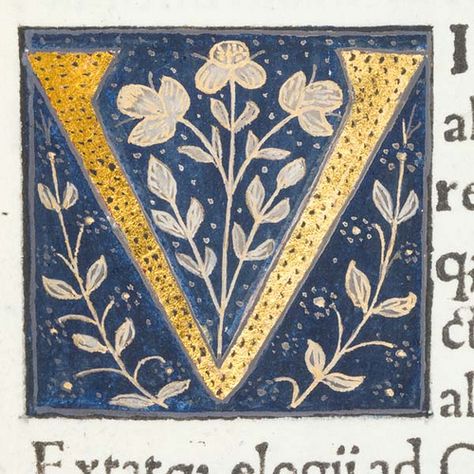 Initial V, Medieval Books, Illumination Art, Calligraphy Alphabet, Medieval Manuscript, Illuminated Letters, Alphabet Art, Calligraphy Letters, Letter V