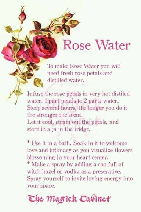 How to make Rose Water Rose Water Recipe, Make Rose Water, Potions Recipes, Magickal Herbs, Witch Herbs, How To Make Rose, Magic Herbs, Eclectic Witch, Magical Herbs