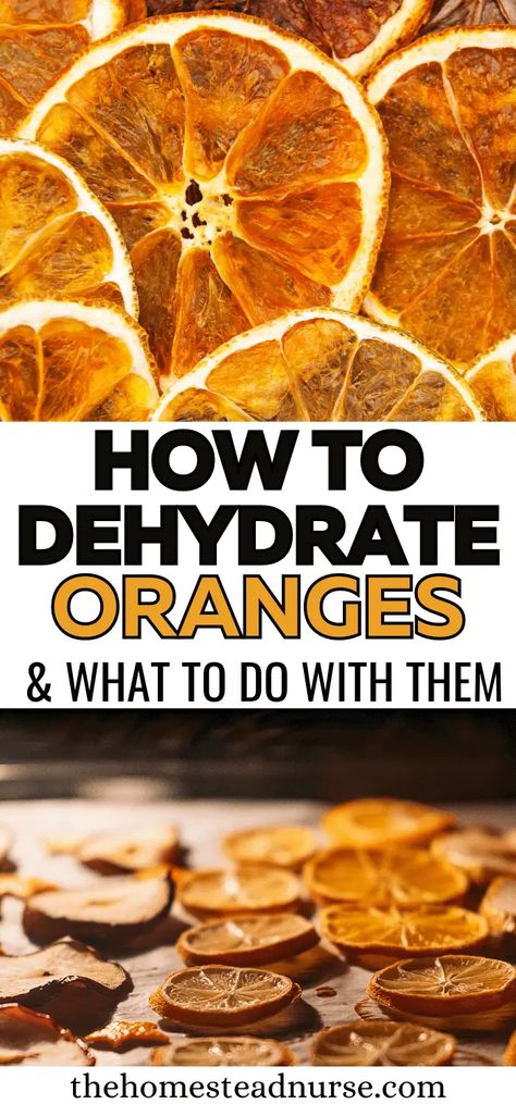 Dehydrated Citrus Slices, Dehydrate Orange Peels, Dehydrated Oranges In Oven, Dehydrating Oranges In Oven, Dehydrate Oranges In Oven, Ways To Preserve Oranges, Drying Oranges In Dehydrator, Dried Candied Orange Slices, How Do You Dry Orange Slices