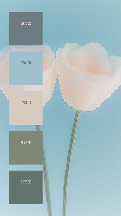 Colors:
6B7C82
9EC1CD
D7CAC1
7F8776
61756E Soft Gradient, White Petals, Beautiful Colours, Side By Side, Graphic Design Inspiration, Soft Lighting, Color Palettes, Beautiful Colors, Color Palette