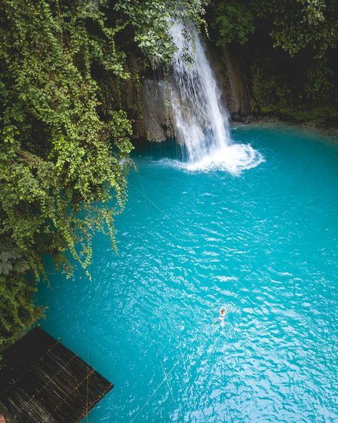 The stunning Kawasan Falls - Cebu Cebu Waterfalls, Kawasan Falls Cebu, Kawasan Falls, Philippines Travel Guide, Cebu Philippines, By Bus, Cebu City, Philippines Travel, Beautiful Travel