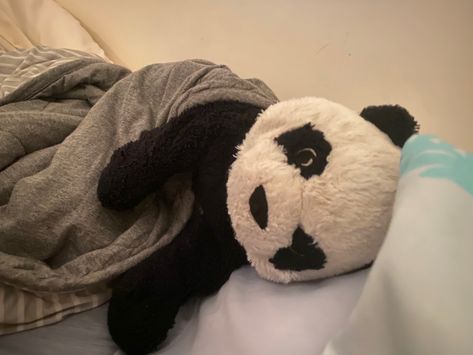 Stuffed Panda Bear, Panda Stuffed Animal Aesthetic, Panda Plushie Aesthetic, Ollie Aesthetic, Plushie Photography, Panda Pfp, Panda Plushie, Panda Teddy Bear, Panda Stuffed Animal