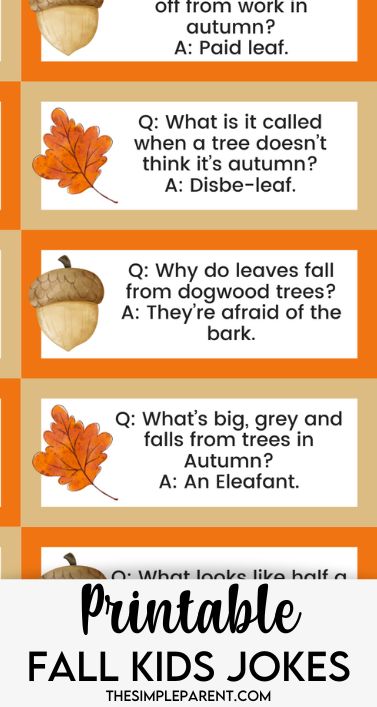 These family-friendly fall jokes are perfect for back to school season and the entire fall season! Free printable lunch box jokes are included! Have your kids laughing throughout fall with these funny kids jokes! Fall Jokes Funny, Fall Jokes For Kids, Halloween Songs For Toddlers, Fun Facts About Fall, Fall Jokes, Fall Puns, One Line Jokes, Riddles Kids, Fall Facts