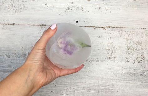 See how to fill a balloon from Michaels to make this gorgeous idea for your next party: Ice Balls Made With Balloons, Floral Ice Balls, Floral Ice Cubes, Flower Ice Cubes, 18th Party, Purple Carnations, Floral Ice, Beverage Bar, Flower Ice