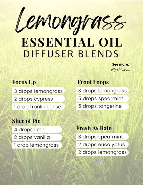 Lemon Grass Essential Oil Blends, Lemon Grass Diffuser Blends, Lemongrass Essential Oil Blends, Diy Scented Wax Melts, Home Diffuser Blends, Essential Oil Crafts, House Scents, Diffuser Oil Blends, Beeswax Diy