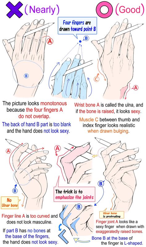 Anime Hand Anatomy, Anatomy Learning, Hand Anatomy Drawing Tutorials, Basic Anatomy Drawing, Hand Anatomy Drawing Study Step By Step, Fingers Anatomy Drawing, Scelotin Hand Drawing Tutorial, Face Art Drawing, Hand Reference