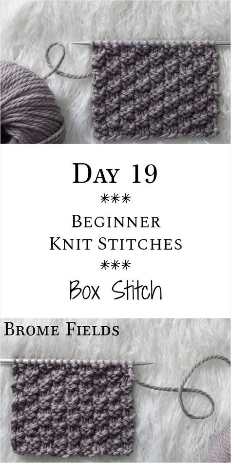 Box Knit Stitch : Day 19 of the 21 Days of Beginner Knit Stitches : Brome Fields : #21daysofbeginnerknitstitches Beginner Knit, Stitch Box, Box Stitch, Beginner Knitting Patterns, Knit Stitches, Knitting Blogs, Vogue Knitting, Learn How To Knit, Scarf Knitting Patterns