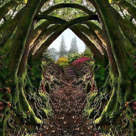 Entrance to the Secret Garden, Portland, Oregon Trees And Flowers, Garden Entrance, The Secret Garden, Oregon Travel, To Infinity And Beyond, Magical Places, Pretty Places, Portland Oregon, Pacific Northwest