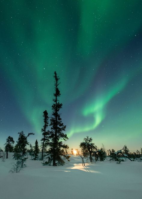 Where can you see the Northern Lights in Finland? Northern Lights Photography, Finland Travel, See The Northern Lights, Countries To Visit, Tromso, Dream Travel Destinations, The Aurora, Dream Holiday, Future Travel