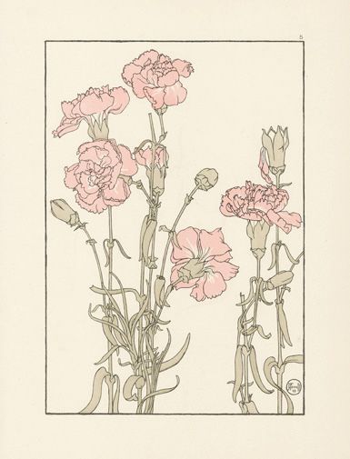 Carnation USD $85 Foord Pochoir Flower Studies 1901 Flower Studies, Flowers Prints, Botanical Drawing, Peacock Art, Botanical Illustrations, Plant Drawing, Trendy Flowers, Alphonse Mucha, Japanese Woodblock Printing