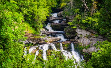 Best Hikes in the Beautiful Nantahala National Forest, North Carolina Vast Forest, Nantahala National Forest, Best Hikes, National Forest, North Carolina, Hiking, Forest, Water