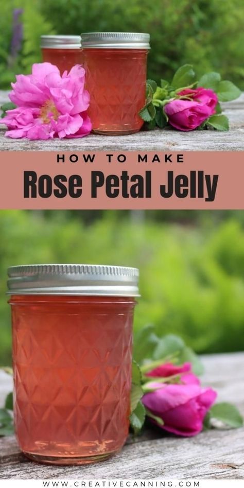 Jelly Recipes For Canning, Rose Petal Jelly Recipe, Amish Canning, Recipes For Canning, Rose Jelly, Morning Toast, Edible Flowers Recipes, Edible Roses, Home Canning Recipes