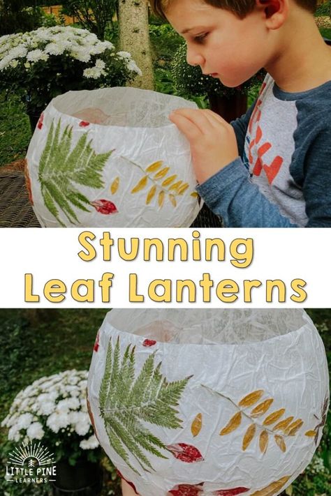 Stunning Leaf Lanterns • Little Pine Learners Leaf Luminaries, Homeless Ministry, Parent Appreciation, Leaves Craft, Oregon Summer, Walk Ideas, Leaf Lantern, Nature Explorer, Fall Ball