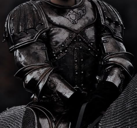 Medieval Knight Aesthetic Male, Fantasy Knight Aesthetic, Knight Aesthetic Dark, Royal Knight Aesthetic Male, Cesare Borgia Aesthetic, Boromir Aesthetic, Dnd Fighter Aesthetic, Royal Knight Aesthetic, Medieval Knight Aesthetic