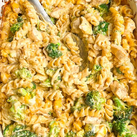 Cheesy Broccoli Chicken Pasta Bake Cheesy Pasta With Broccoli, Broccoli Cheese Casserole With Chicken, Pasta Chicken Broccoli Recipes, Chicken Brocolli Pasta Casserole Oven, Cheesy Chicken Pasta Bake, Cheesy Chicken And Broccoli Pasta, Broccoli Chicken Pasta, Chicken Broccoli Pasta Casserole, Chicken And Broccoli Pasta Bake