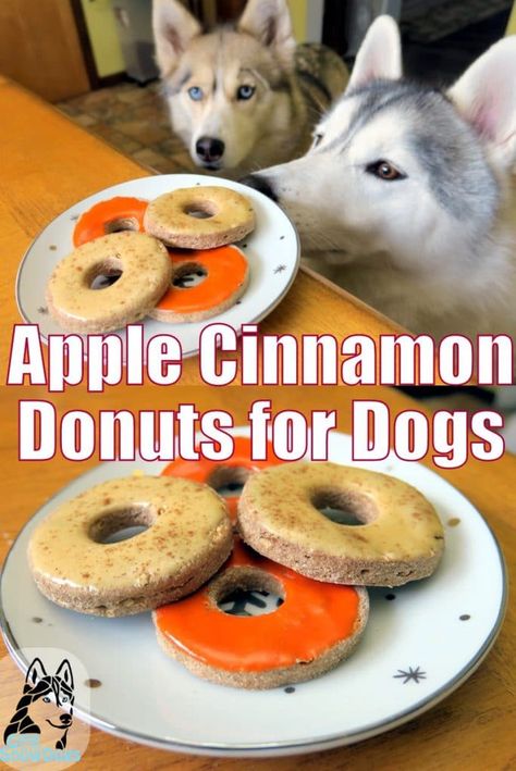 Donuts For Dogs, Lou Dog, Pet Treats Recipes, Easy Dog Treat Recipes, Cinnamon Donuts, Diy Donuts, Dog Biscuit Recipes, Easy Dog Treats, Healthy Dog Treats Homemade