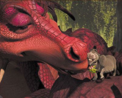 shrek-dragon Donkey And Dragon, Shrek Dragon, Shrek Donkey, Dragon Rouge, Princess Fiona, Toothless Dragon, Dragon Costume, Tv Tropes, Dreamworks Animation