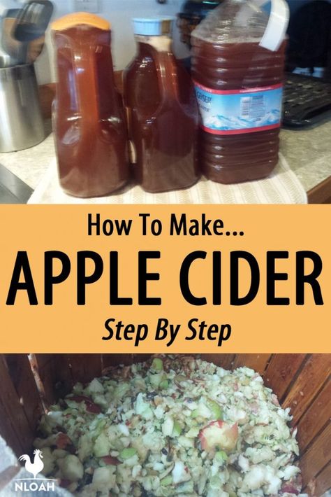 Winter Canning, Diy Cider, Canning Jelly, Apple Cider Press, Apple Cider Juice, Make Apple Cider, Diy Apple Cider, Homemade Cider, Making Apple Cider