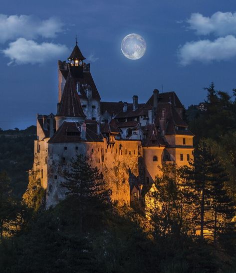 Bran Castle Schedule - Explore Bran Castle - Buy Tickets Online Bran Castle Romania, The Time Tunnel, Bran Castle, Dracula Castle, Halloween Facts, Castles Interior, About Halloween, Brasov, Learning Platform