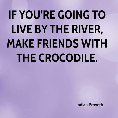 If you’re going to live by the river, make friends with the crocodile. Indian proverb Crocodile Quotes Life, Crocodile Quotes, Brainstorming Quotes, African Sayings, Desktop Inspiration, Abundant Mindset, Proverb Quotes, Wise Proverbs, Indian Proverbs