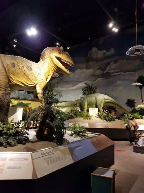 Dinosaur Exhibit #Sponsored , #sponsored, #Paid, #Exhibit, #Dinosaur Dinosaur Exhibit, Dinosaur Exhibition, Business Icon, Business Icons, Science Center, Business Icons Design, Icons Design, Design Simple, Exhibition Design