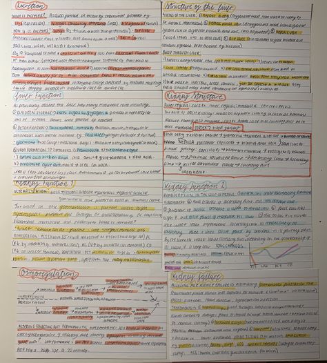 A level biology excretion topic revision notes flash cards #school #study #revision #alevels #biology Ocr Biology A Level, Excretion And Osmoregulation Notes, Excretion Biology Notes, Excretion Notes, Study Revision, Handwriting Ideas, Mcat Study, A Level Biology, Revision Notes