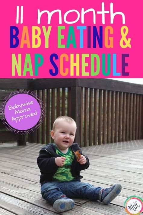 Feeding and sleeping schedule for an 11 month old baby. You will also find milestones, information on bottles and solid food, naps and nighttime sleep. William is climbing stairs now and crawling everywhere. He's on 2 naps and 2 bottles! He'll soon transition to one bottle.   #babysleep #babysleeptips #babywise #babyschedule #parenting101 #parentingtipsandtricks #11monthsold #parentinghacks 11 Month Old Schedule, 10 Month Old Schedule, Ideal Schedule, Newborn Baby Hacks, 11 Month Old Baby, Wonder Weeks, Baby Wise, Toddler Parenting, Baby Feeding Schedule