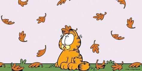 Garfield Banner Discord, Garfield Fall Wallpaper, Garfield Computer Wallpaper, Garfield Wallpaper Laptop, Garfield Desktop Wallpaper, Garfield Laptop Wallpaper, Garfield Wallpaper Desktop, Fall Wallpaper Aesthetic Computer, Garfield Header