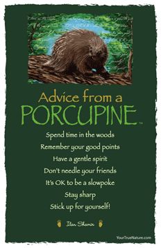 Advice from a Porcupine. I'm so happy that I found this, didn't know they came out with an "Advice" from the porcupine. Stick Up For Yourself, Gentle Spirit, Animal Spirit Guide, Animal Spirit Guides, Animal Medicine, Power Animal, Animal Symbolism, Advice Quotes, True Nature