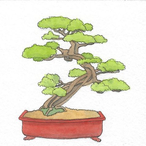 Bonsai tree illustration in watercolor and pen  #bonsai #watercolor #pen #illustration Bonsai Tree Illustration, Bonsai Illustration, Bonsai Tree Painting, Trees Art Drawing, Tiny Bonsai, Adenium Bonsai, Bonsai Fruit Tree, Bonsai Techniques, Watercolor And Pen