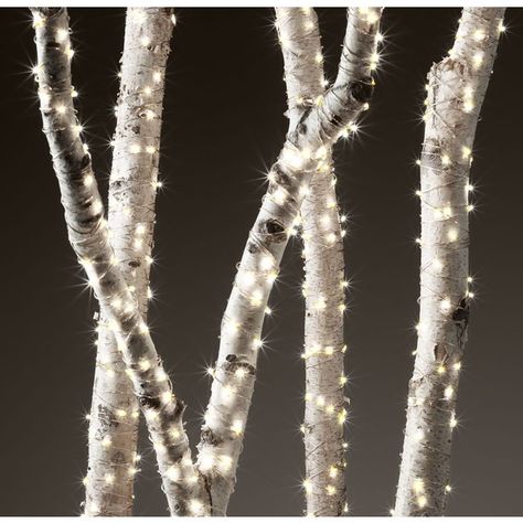 Starry String Lights - Diamond Lights on Silver Wire ($11) ❤ liked on Polyvore Starry String Lights, Diy Outdoor Lighting, Diy String Lights, Starry Lights, Diamond Lighting, Amber Lights, Decor Elements, Xmas Lights, Birch Trees