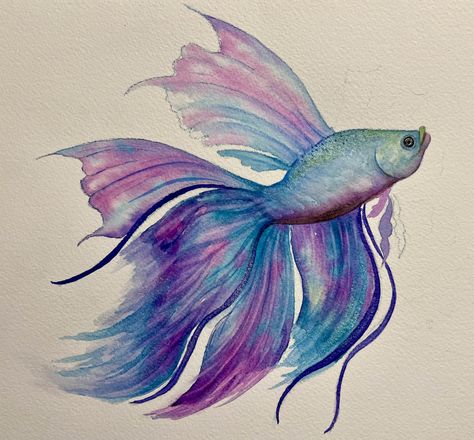 Betta Fish Watercolor, Watercolour Fish Paintings, Coastal Images, Fish Sketch, Fish Watercolor, Fish Artwork, Watercolor Fish, Art Apps, Fish Drawings