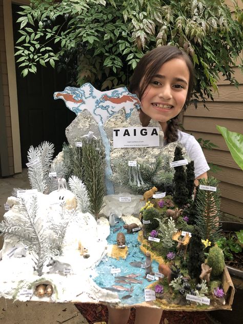 Taiga Deciduous Forest Biome, Ecosystems Diorama, Shoe Box Diorama, Biomes Project, Diorama Kids, Ecosystems Projects, Bathroom Christmas, Habitats Projects, Rustic Garden Ideas