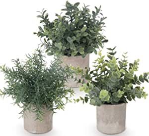 Potted Plants Indoor, Fake Potted Plants, Rosemary Plant, Plants For Home, Fake Succulents, Plastic Plant Pots, Artificial Potted Plants, Mini Succulents, Small Potted Plants