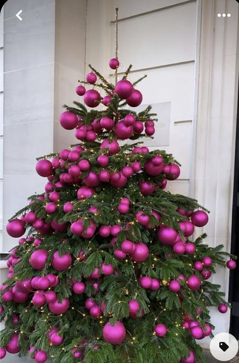 Pretty Christmas Decorations, Diy Christmas Wreaths Ideas, Christmas Wreaths Ideas, Diy Christmas Wreaths, Wreaths Ideas, Christmas Tree Inspiration, Christmas Themes Decorations, Christmas Wreaths For Front Door, Pink Christmas Tree