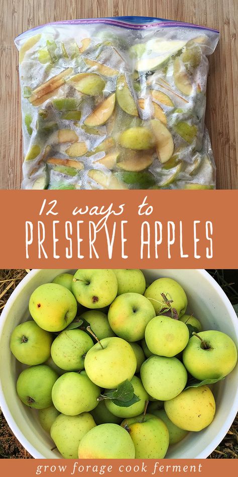 Apple Recipes For Canning, Preserve Apples, Green Apple Recipes, Crab Apple Recipes, Preserving Apples, Seasonal Recipes Fall, Storing Food Long Term, Freezing Apples, Canning Food Preservation