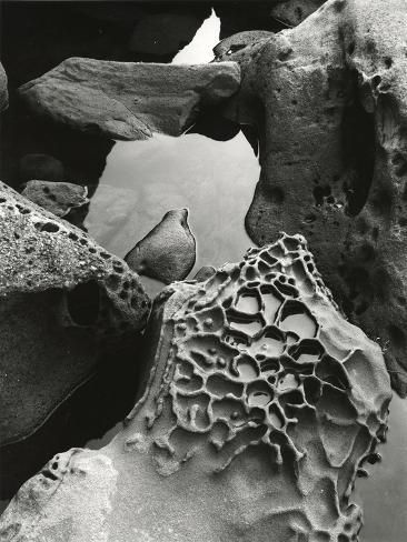 size: 12x9in Photographic Print: Tide Pool, Point Lobos, 1977 (gelatin silver print) by Brett Weston : Brett Weston was born in Los Angeles, California in 1911 to Edward and Flora Weston. He began taking photographs when he accompanied his father to Mexico at the age of thirteen. At age seventeen, his photographs were included in the famous "Film und Foto" exhibition held in Germany. Brett continued to take high contrast, abstract photographs over the next sixty years. His work is in over fifty museum collections around the world. He died in Hawaii in 1993 Beach Rocks Photography, Brett Weston, Tidal Pool, Tide Pool, Rock Photography, Edward Weston, San Francisco Museums, Photography Basics, Philadelphia Museum Of Art