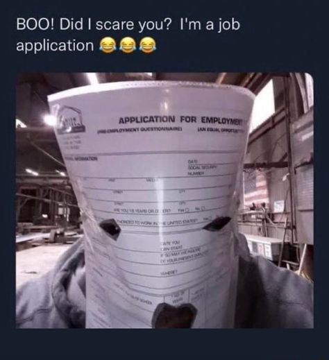 Employment Application, The Boogie, Job Application, Some Funny Jokes, Funny Relatable Quotes, Silly Me, Really Funny Pictures, Funny Laugh, Reaction Pictures