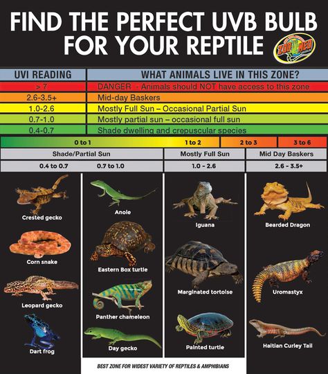 Which UVB Bulb is best for your reptile? Find out what zone your reptile's habitat should be in and what UVB bulb will best provide that zone. Chameleon Care, Leopard Gecko Care, Lizard Habitat, Bearded Dragon Diy, Gecko Habitat, Bearded Dragon Enclosure, Reptile Care, Crested Geckos, Pet Lizards