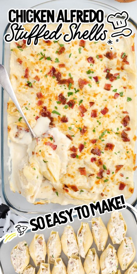 Chicken Bacon Ranch Shells, Chicken Stuff Shells Recipes, Stuff Shells With Chicken, Chicken Bacon Ranch Stuffed Shells, Chicken Alfredo Shells, Stuffed Shells Chicken, Recipes Chicken Alfredo, Alfredo Shells, Buffalo Chicken Stuffed Shells