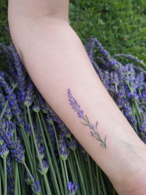 Tattoo Of Lavender, Purple Lavender Tattoo, Lavender Tattoo Ideas, Lavender Tattoo Wrist, Small Lavender Tattoo, Vervain Tattoo, Lavender Flower Tattoo, Lavender Tattoos, Purple Tattoos