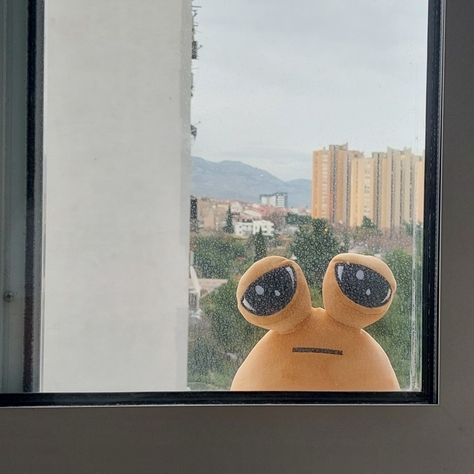 My pou plushie looking at me through the window Soft Pp, Puppies And Kitties, Cute Bedroom Decor, Silly Images, Im Going Crazy, Through The Window, Silly Pictures, Plush Fabric, Cute Profile Pictures