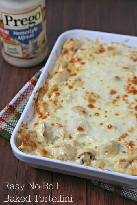 Baked Cheese Tortellini, Cheesy Alfredo Sauce, Baked Tortellini Alfredo, Baked Tortellini Recipes, Easy Tortellini Recipes, Baked Tortellini Casserole, Cheese Tortellini Recipes, Baked Tortellini, Tortellini Alfredo