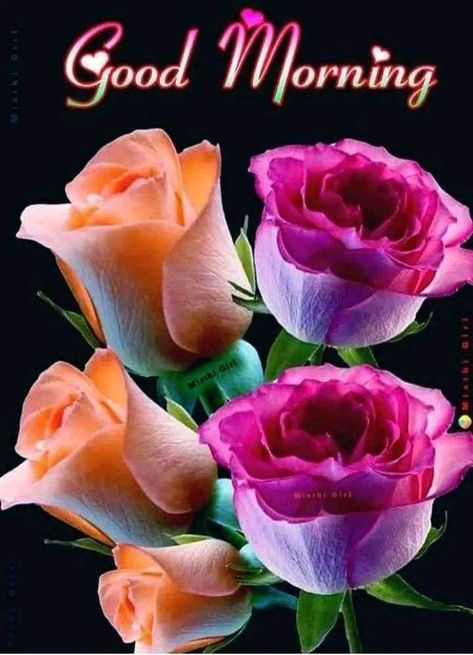 Good Morning Flowers Awesome, Friday Good Morning, Very Good Morning Images, Happy Sabbath Images, Good Morning Rose Images, Good Morning Clips, Good Night Massage, Lovely Good Morning Images, Good Evening Greetings