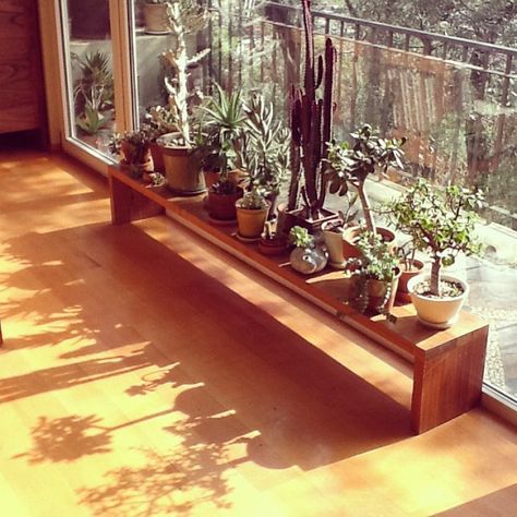 <3 Plant Bench, Plant Window, Window Plants, Indoor Window, Window Benches, Support Plante, Diy Plant Stand, Plant Table, Plant Stand Indoor